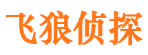 江苏市私人侦探